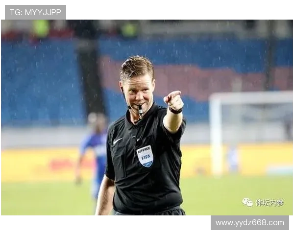 大规模抗议赛场视频助理裁判